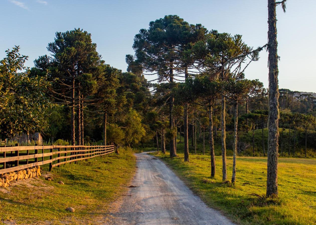 Hospedagem Rural Recanto Do Riacho Урубиси Екстериор снимка