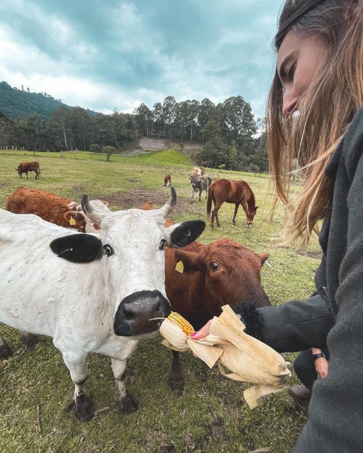 Hospedagem Rural Recanto Do Riacho Урубиси Екстериор снимка